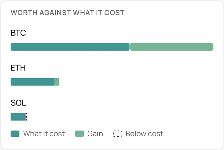 Each coin's worth against what it cost, in the CoreFi app.